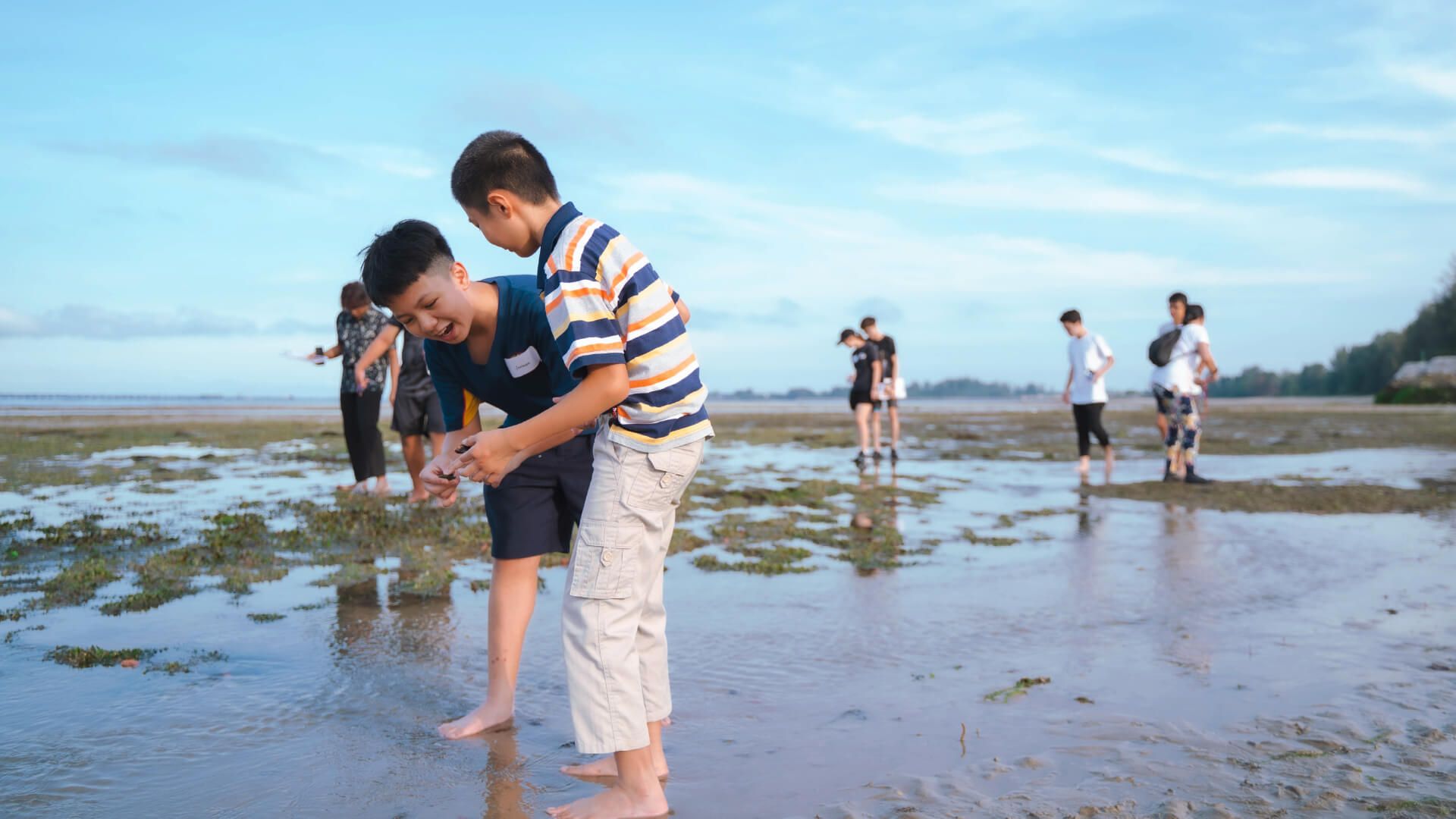 Children discovering marine life together at low tide on a Singapore shore